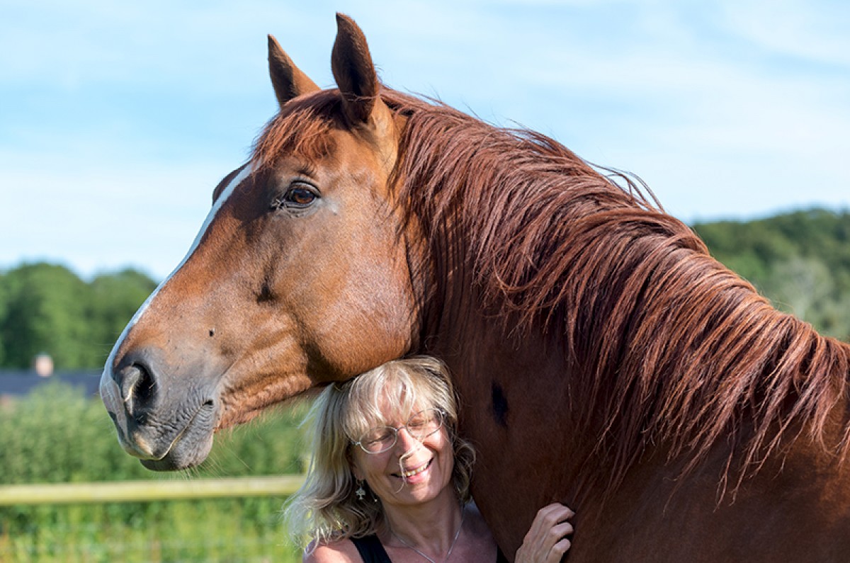 Equine Assisted Mindfulness EAM