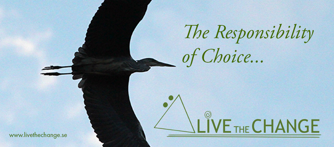 Live the Change - The Responsibility of Choice