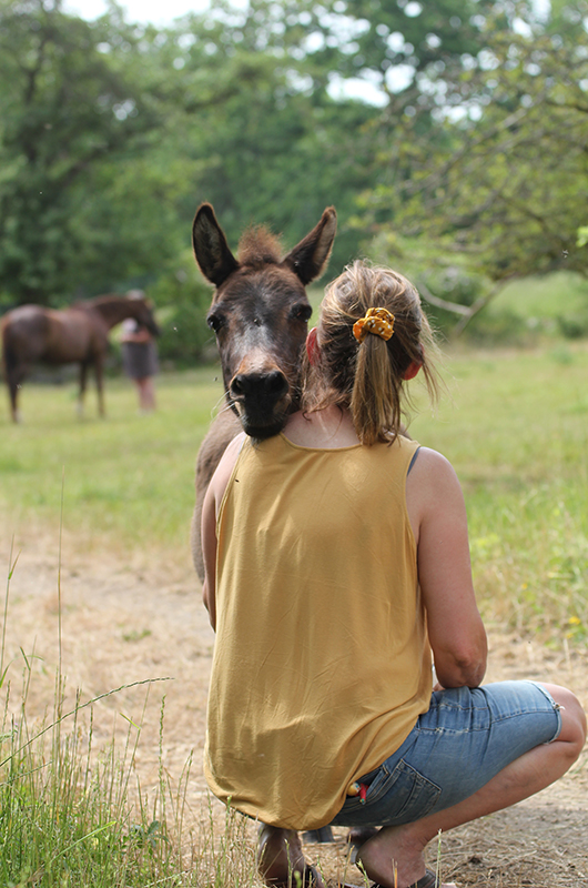Woman and mule