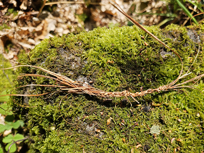 Braided grass